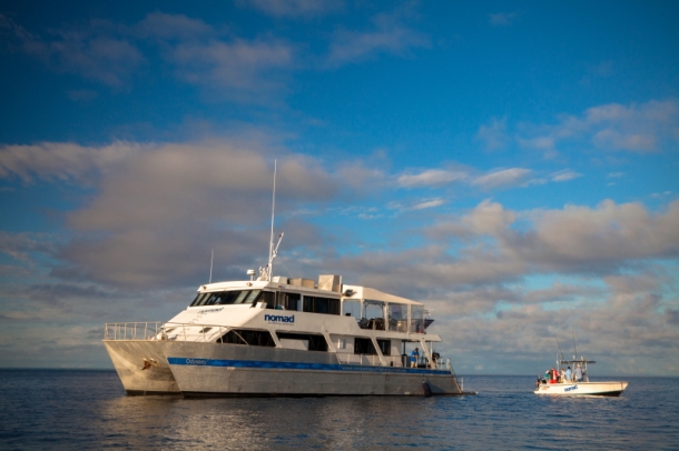 GTs wreak havoc at electronics showcase